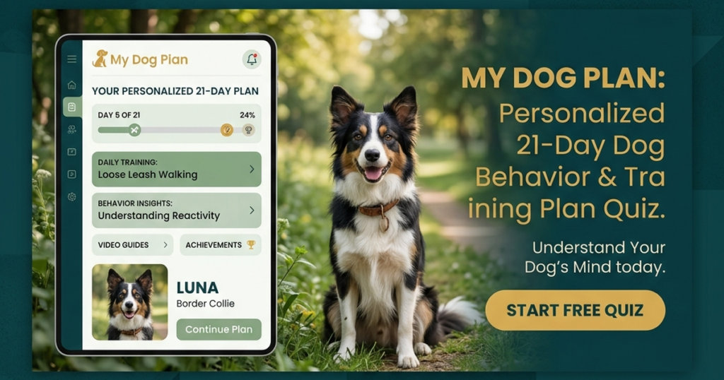 My Dog Plan app showing a personalized 21-day dog training plan next to a Border Collie sitting on a park path