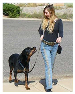Certified dog trainer Adrienne Farricelli working with a dog