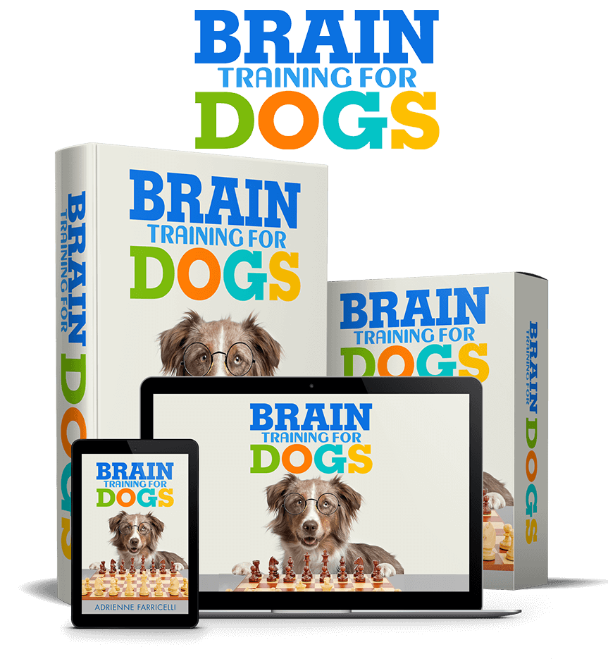 Brain Training for Dogs course package shown on laptop and tablet