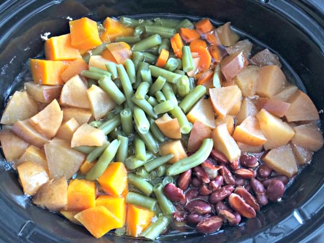 Bowl of home-cooked dog stew with meat and vegetables